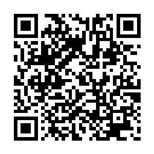 白芷璃也没有注意到东黎墨已经站在这里好久了二维码生成