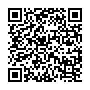白芷璃可不知道这个世界上还存在这么一个地方二维码生成