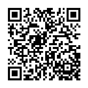 白芷璃可没有忘记自己这枚戒指是母亲留给自己的二维码生成