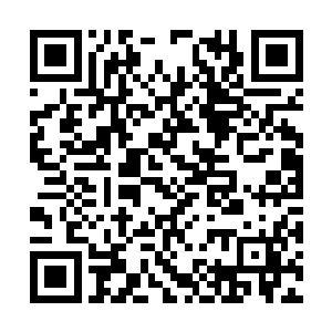 白芷璃屁颠屁颠的走到了一遍的台阶上面坐了下来二维码生成