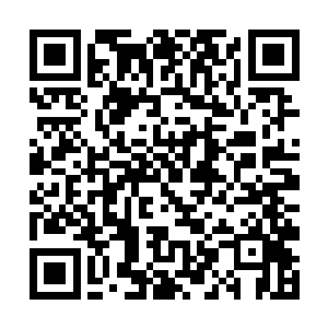 白芷璃本来还在怀疑如果这个不是阿墨告诉师傅的话二维码生成