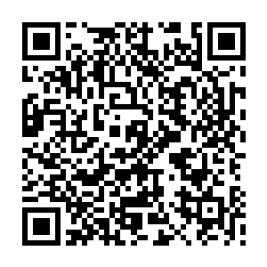 白芷璃现在只是想知道自己花了那么大的力气搞到的究竟是一个什么魔兽二维码生成