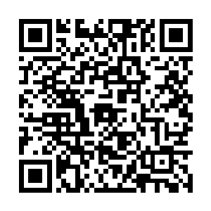 白芷璃看这只雪狼也觉得很有可能是别人的契约兽二维码生成