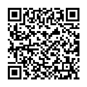白芷璃还真的是被神医府的厨子的速度给吓到了二维码生成