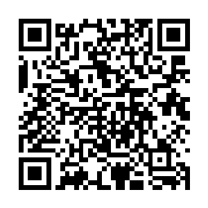 白苏仁气得几乎想要当场把这样的一张纸撕成粉碎二维码生成