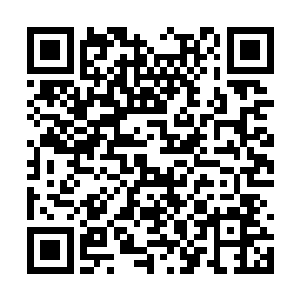 白虎可是连东皇生水和神国一方都不敢招惹的存在二维码生成