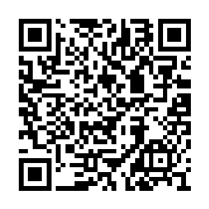 白虎族以及玄武族三族的无上老祖也是面色大变二维码生成