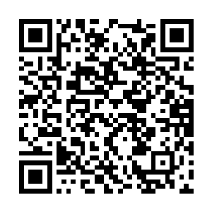 白虎看着面具男子竟然一只手就拦下了自己的一拳二维码生成