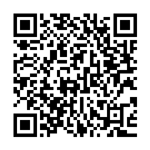 白虎自然感受到了周围空气的狂躁和面具男子身上的气势的变化二维码生成