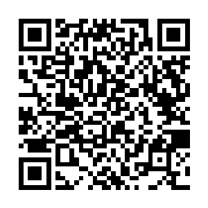 白衣女子在距离谭边的男子仅剩丈余距离的时候停下二维码生成