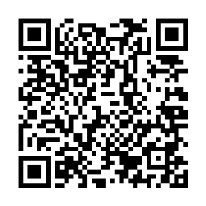 白裳不能忍的出来质问为何在她门口转表明自己是路痴二维码生成