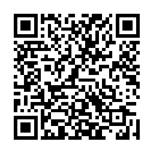 白角族势必将完全丧失自己的传承而彻底成为红角族的附属二维码生成