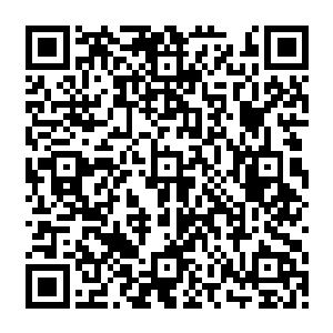 白角族派出了最高等级的十二名神骨甲战士和十二名高中级神侍专门负责保护和侍候苏门二维码生成