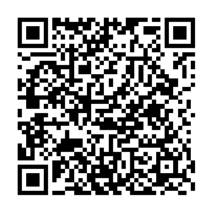 白角族负责支付所有前往东大陆九原学习的孩子的所有学费和生活费二维码生成