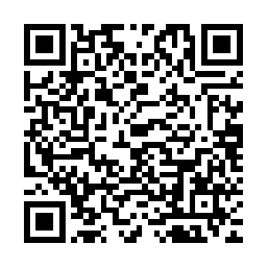 白雾族的那些叛徒跟龙战他们在一起那就是说飞达肯定也被抓了二维码生成
