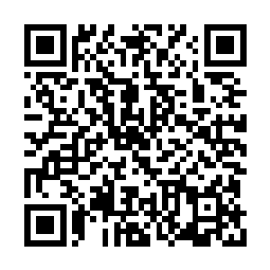 白露星上惶恐等待救援的人们忽然发现电也没了二维码生成