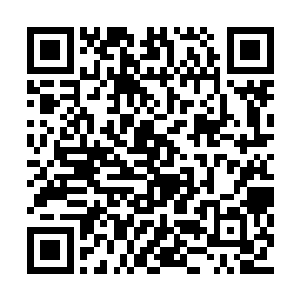 白须老者指着猪笼里那个看不出人形的愤愤不已二维码生成