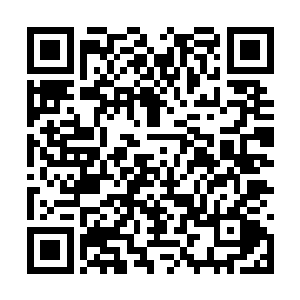 白骨巨刀和镇山剑王手中的极品神剑瞬间砍在一起二维码生成