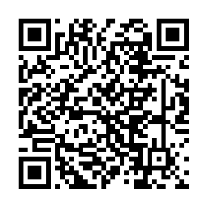 白骨神君不知道唐劫这时候还有心情学习对手提升自身二维码生成