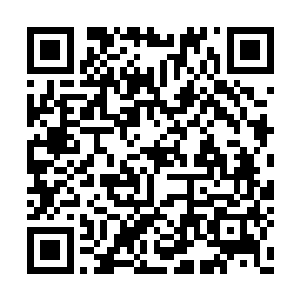 白龙血脉拥有极为强悍的体质和极为强大的力量二维码生成