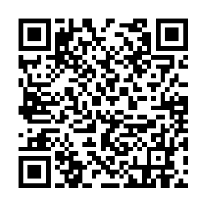 百姓中想要出一个可以当官的读书人可谓凤毛麟角二维码生成