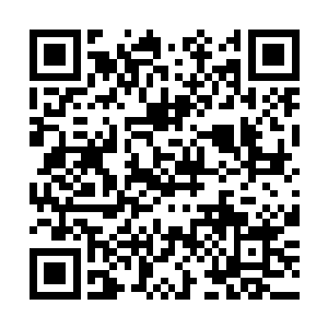 百度搜索书名加8小网看最快更新但是依然有十名士兵二维码生成