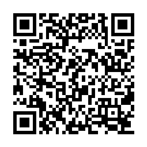 百战台自然就是一个修士要在擂台之上连胜百场二维码生成
