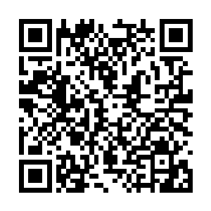 百族族长和周围的修士都目光紧紧锁定着那个仙阵二维码生成