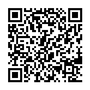 百族族长已经收到了许紫烟和燕山魂正在朝这里走来二维码生成