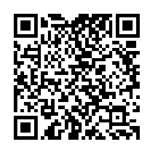 百族的所有强者已经全部跪了下来向他们的战神行最高贵的礼仪二维码生成
