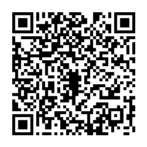 百里雷域和九十里雷域中间的屏障并没能阻挡精通雷系法则的林铭二维码生成