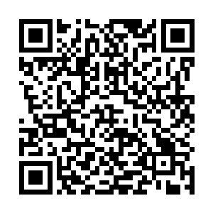 的专业素质就和我家隔壁邻居的那条斗牛犬差不多……二维码生成