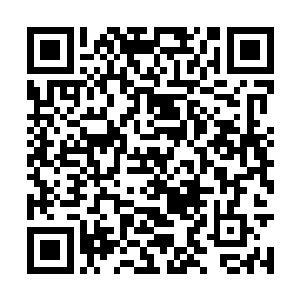 的人影将在田地里奔跑的人一个个干脆利落的杀死二维码生成