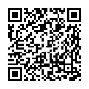 的吃起张智帮她夹的龙虾两人刚回到酒店没多久二维码生成