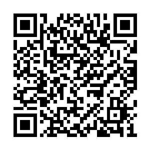 的大贤者终于体会到搬起石头砸自己的脚的滋味二维码生成