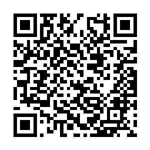 的巨掌狠狠的拍在了蹲在地上抱着头的王少志身上二维码生成