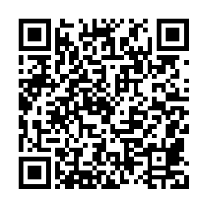 的投资回报比甚至还比不上这么一部奥系文艺片二维码生成