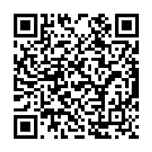 的确不能将太尊精血和至尊脊骨放在空间戒指内了二维码生成