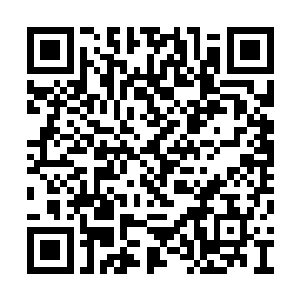 的确有可能会在这次域外魔族入侵当中土崩瓦解二维码生成