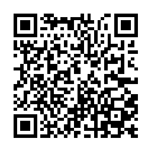 的确有本世界的大批精英和志士后来投入到了外域二维码生成