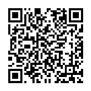 的绷紧姿态……这感觉就好像……就好像她就是洛克希二维码生成