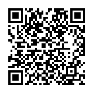的部队以及绝大部分仙宫守卫者都在通天塔内两败俱伤二维码生成