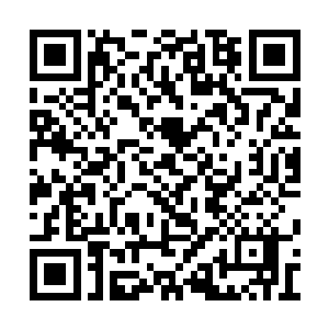 的首映礼派对上抽烟谈心的片段顿时浮现了出来二维码生成