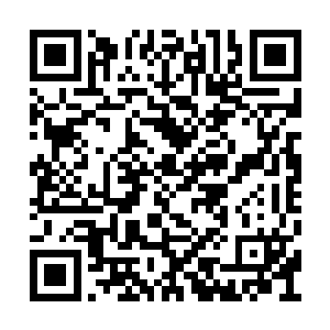 皆是代表着他们得到了进入道祖传承之地的资格二维码生成