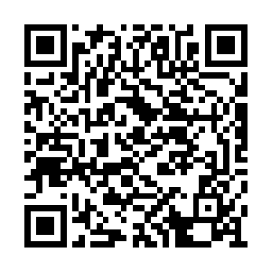 皆是当初一起跟长老们进入鳄蛟岛的护法猎海师二维码生成