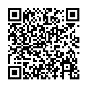 皇上的确会择选其他的势力来平衡朝堂上的风波二维码生成