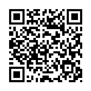 皇后大吼一声居然将浴火凤凰重新召回来了二维码生成