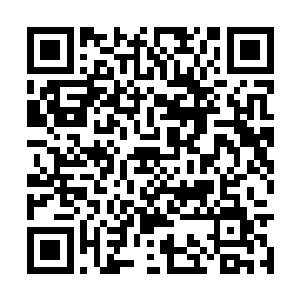 皇宫内所有的禁卫军也去全都是做好了战斗的准备二维码生成