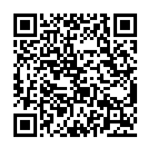 皇帝找回多年前失踪的东阳公主的消息天下皆知二维码生成