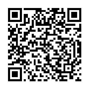 皇族为什么直接就答应了――合着是要撇清跟血沙侯的关系二维码生成
